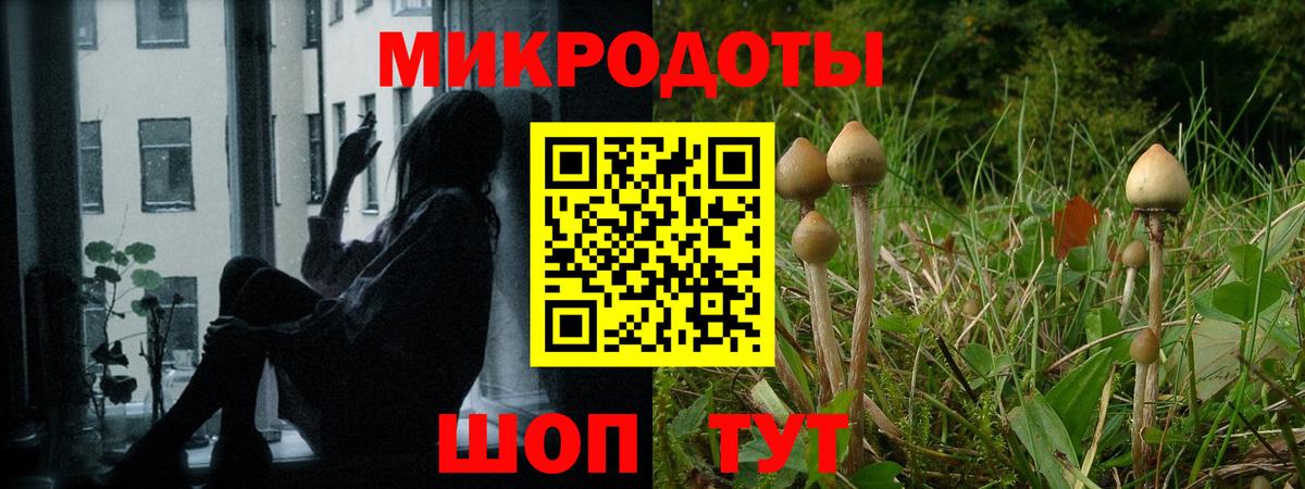 Галлюциногенные грибы ЛСД Кирово-Чепецк