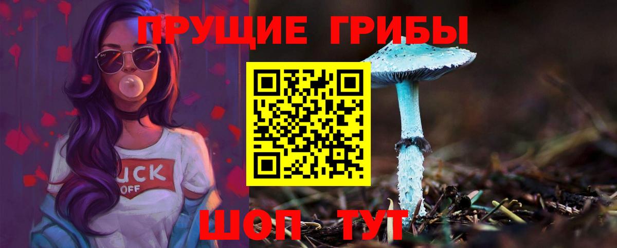 Псилоцибиновые грибы MAGIC MUSHROOMS  Вход с VPN  Кирово-Чепецк 